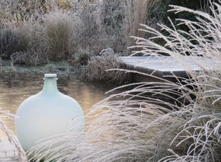 Winter garden ideas: ornamental vase Cheryl Cummings