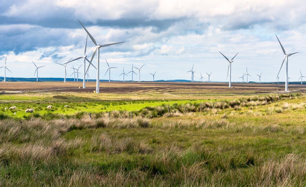 Johnson makes wind power pledge