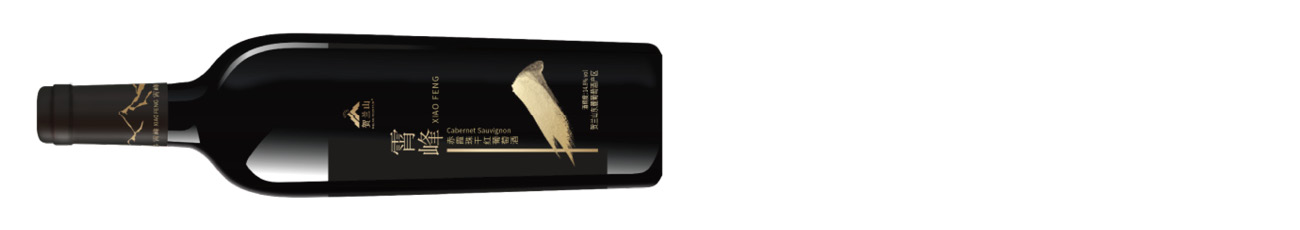 DWWA 2025 winners