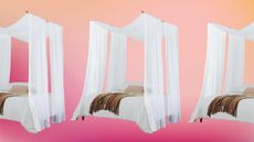 Viral canopy bed DIY