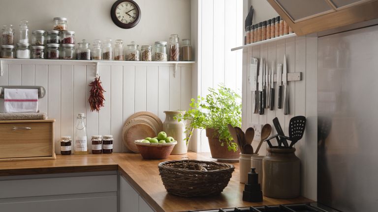 fruit flies kitchen