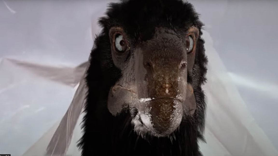 Jurassic Park’s raptors are finally rendered with scientific accuracy, and they’re weirdly wonderful