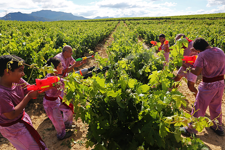 Batella del Vino, Rioja