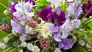 Bouquet of cream, purple and lilac sweet peas with other flowers