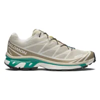 Salomon XT-6 