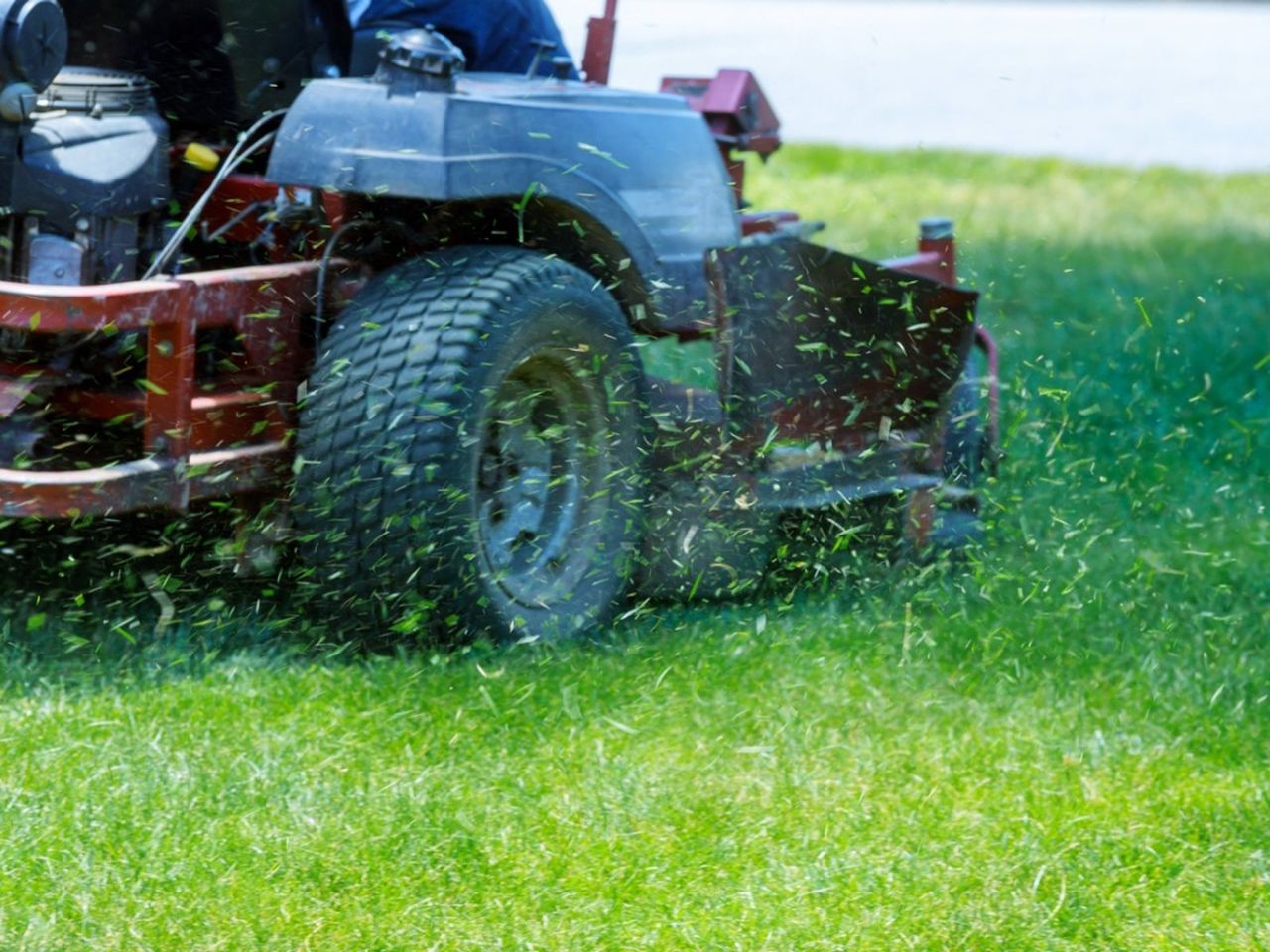 Northwest Lawn Care Calendar – When To Grow Grass In The Northwest ...