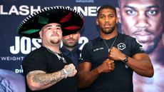 Heavyweight champion Andy Ruiz Jr goes head-to-head with challenger Anthony Joshua on Saturday 