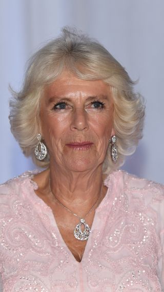 One of the 32 best royal necklaces from Queen Camilla