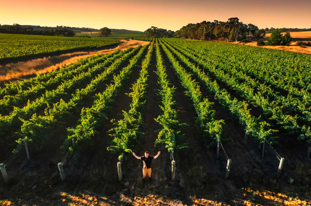 Rieslingfreak vineyards in Clare Valley