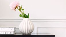 peony in white spherical vase against a white wall with paneling
