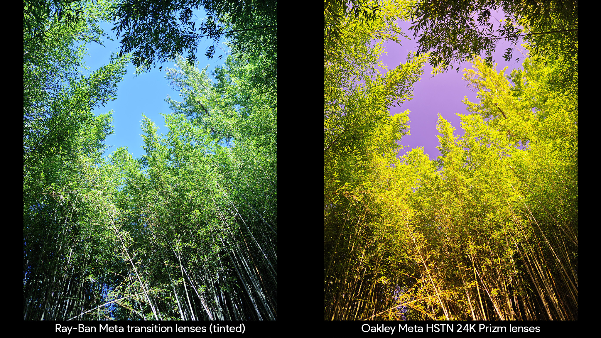 Comparing Oakley Meta HSTN Prizm lenses with Ray-Ban Meta transition lenses to see the color difference