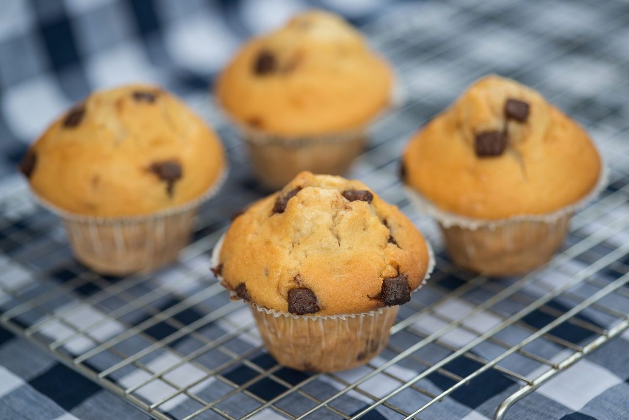 Chocolate chip muffins