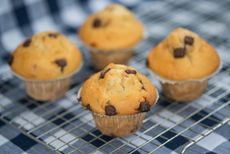 Chocolate chip muffins