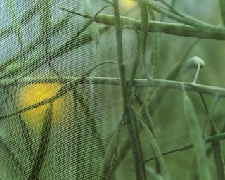 insect-proof mesh