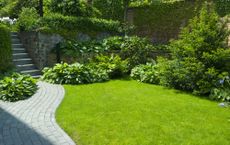 A garden with a green lawn, a grey path, and green shrubs in the border