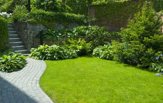 A garden with a green lawn, a grey path, and green shrubs in the border