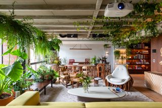 plants inside guto requena's terrace apartment