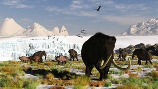 A scene from somewhere in the Ukraine or northern Poland about 18,000 years ago. Woolly mammoths and woolly rhinos shared the landscape with ancient giant elk. There have been no known giant teratorns found, but I have included one that may be more related to ancient large vultures. In the background is a receding glacier that is calving and creating a large lake that empties into the nearby Baltic Sea.