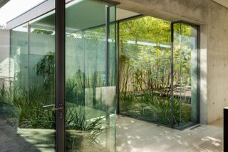 Greenery inside Austin house by Studio DuBois and Elizabeth Stanley design.