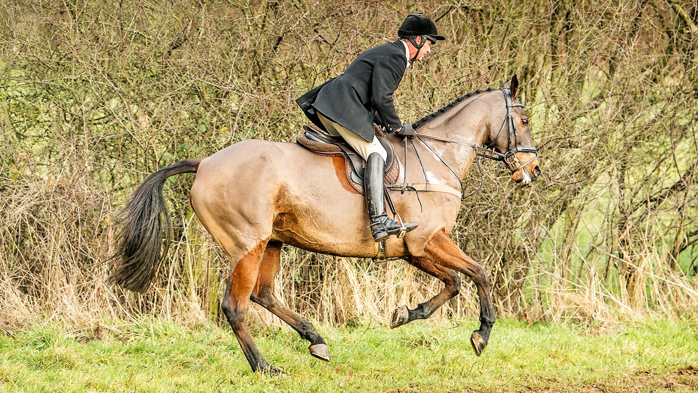 Heythrop-with-Carl-Hester-250_257909721_405919792.jpg