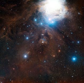 Clouds of gas and dust obscure a star-forming region in the constellation Orion.