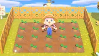 How farming works with crops and vegetables in Animal Crossing