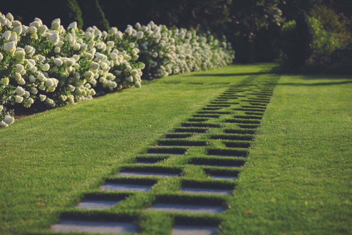 10 garden path ideas to elevate your outdoor space