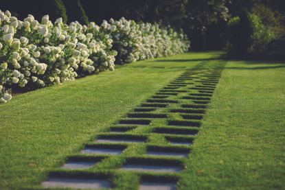 garden path ideas with geometric paving in a lawn