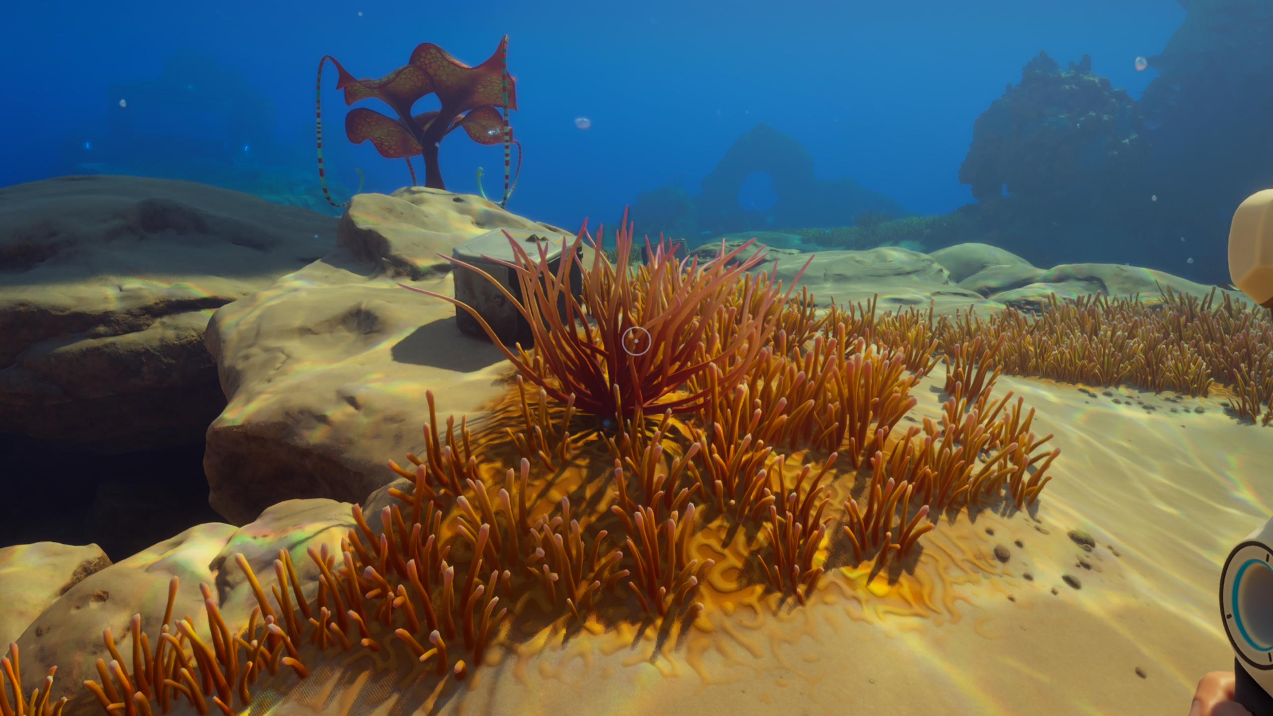Subnautica 2 fibrous pulp: A player looking at whip gorgon plants on the seabed.