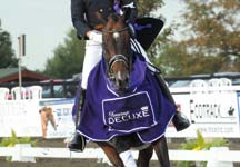Dressage-deluxe-comp.jpg