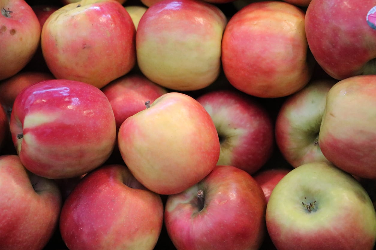 What Are Pink Lady Apples: Learn About Pink Lady Apple Growing