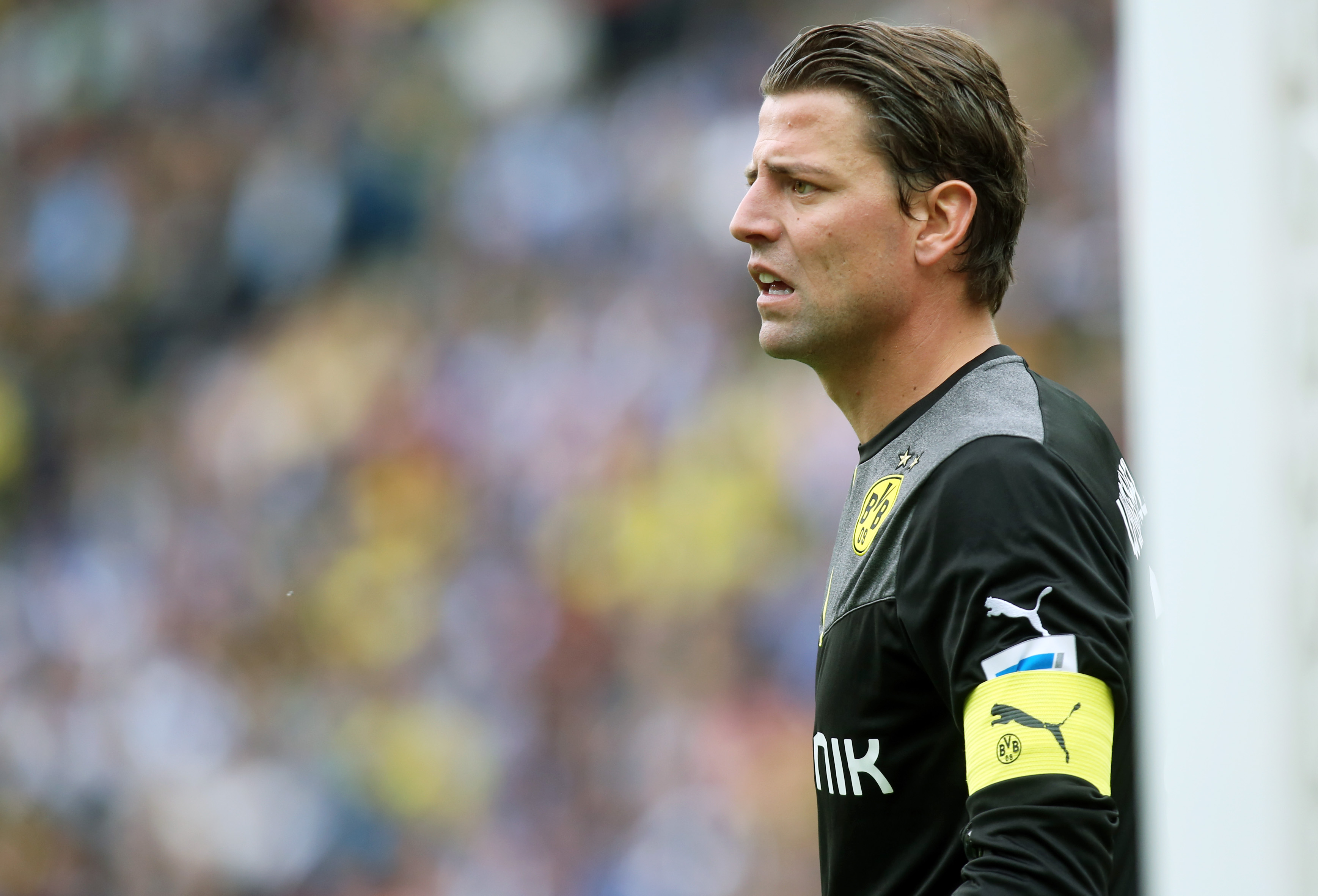 Roman Weidenfeller in action for Borussia Dortmund in 2013/14.