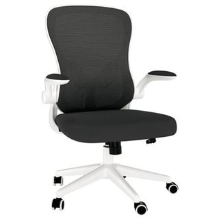 Hbada ergonomic office chair with lumbar support