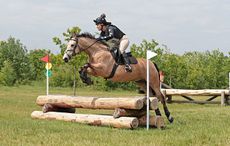 XAMS6433-041-Louise-Bericourt-Toolan-Woodfeild-Gold.jpg