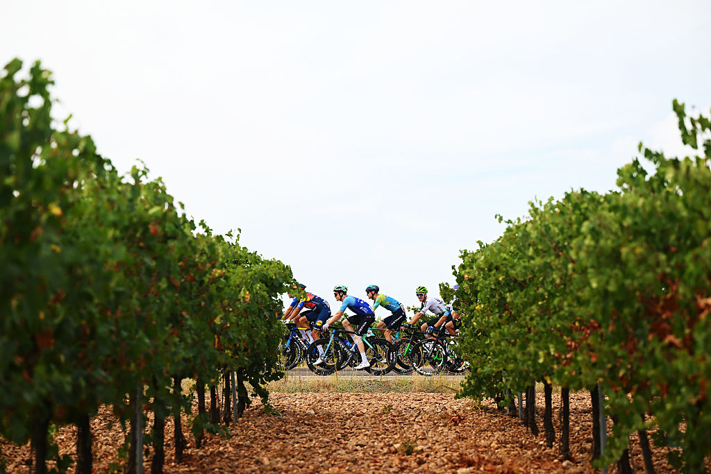 GUIJUELO, SPAIN - SEPTEMBER 12: A general view of Carlos Verona of Spain and Team Lidl - Trek, Callum Scotson of Australia and Team Decathlon AG2R La Mondiale, Nicola Conci of Italy and Team XDS Astana, Joel Nicolau of Spain and Team Caja Rural - Seguros RGA and the peloton passing through a vineyards landscape during the La Vuelta - 80th Tour of Spain 2025, Stage 19 a 161.9km stage from Rueda to Guijuelo/ #UCIWT / on September 12, 2025 in Guijuelo, Spain. (Photo by Dario Belingheri/Getty Images)