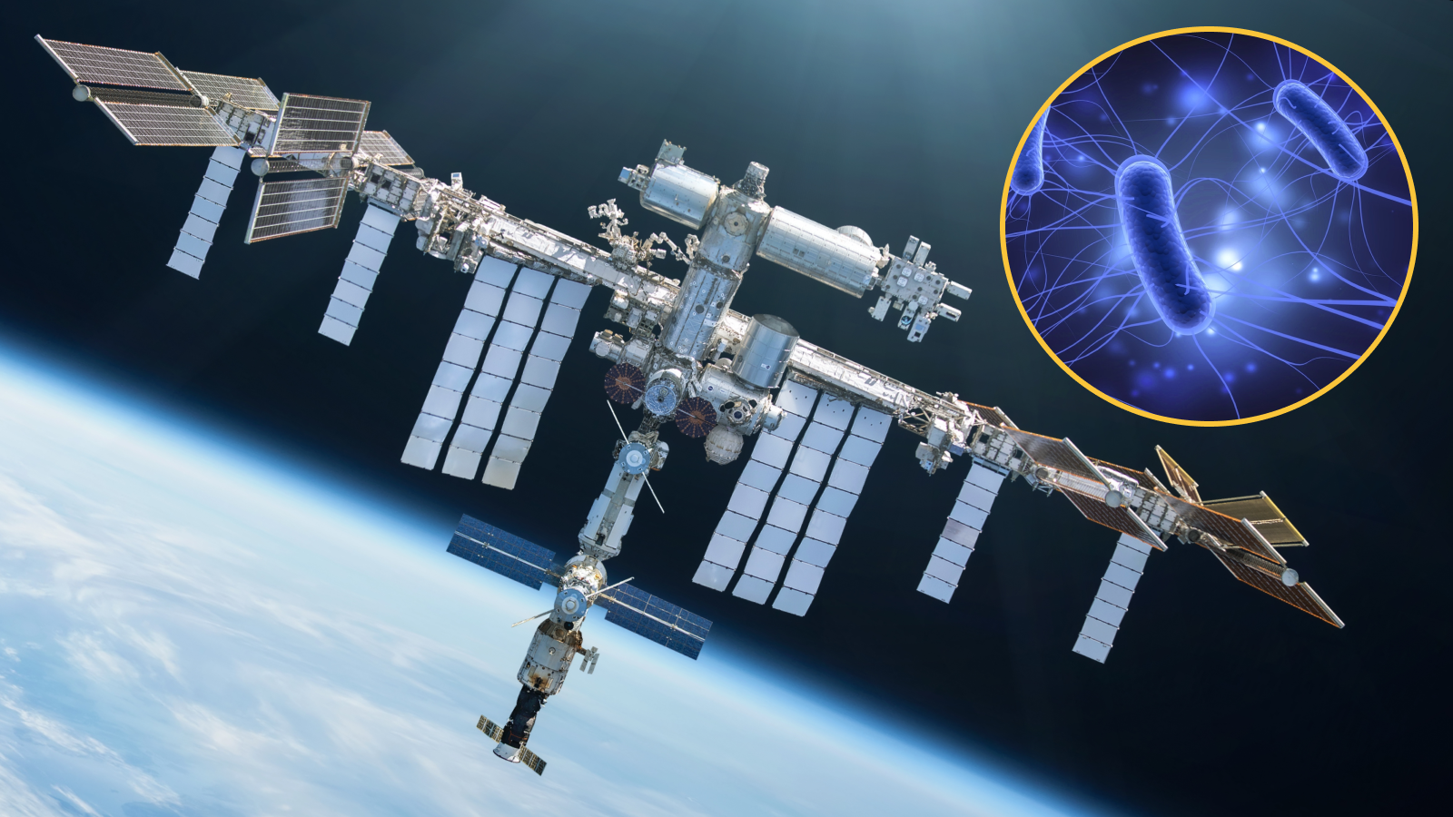International Space Station as main image, circle superimposed on the image showing a digital illustration of e.coli bacteria.