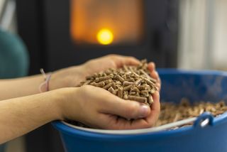 pellets for a biomass boiler