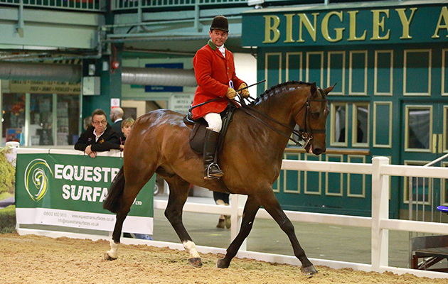 2015 NATIONAL HUNTER SUPREME CHAMPIONSHIPS