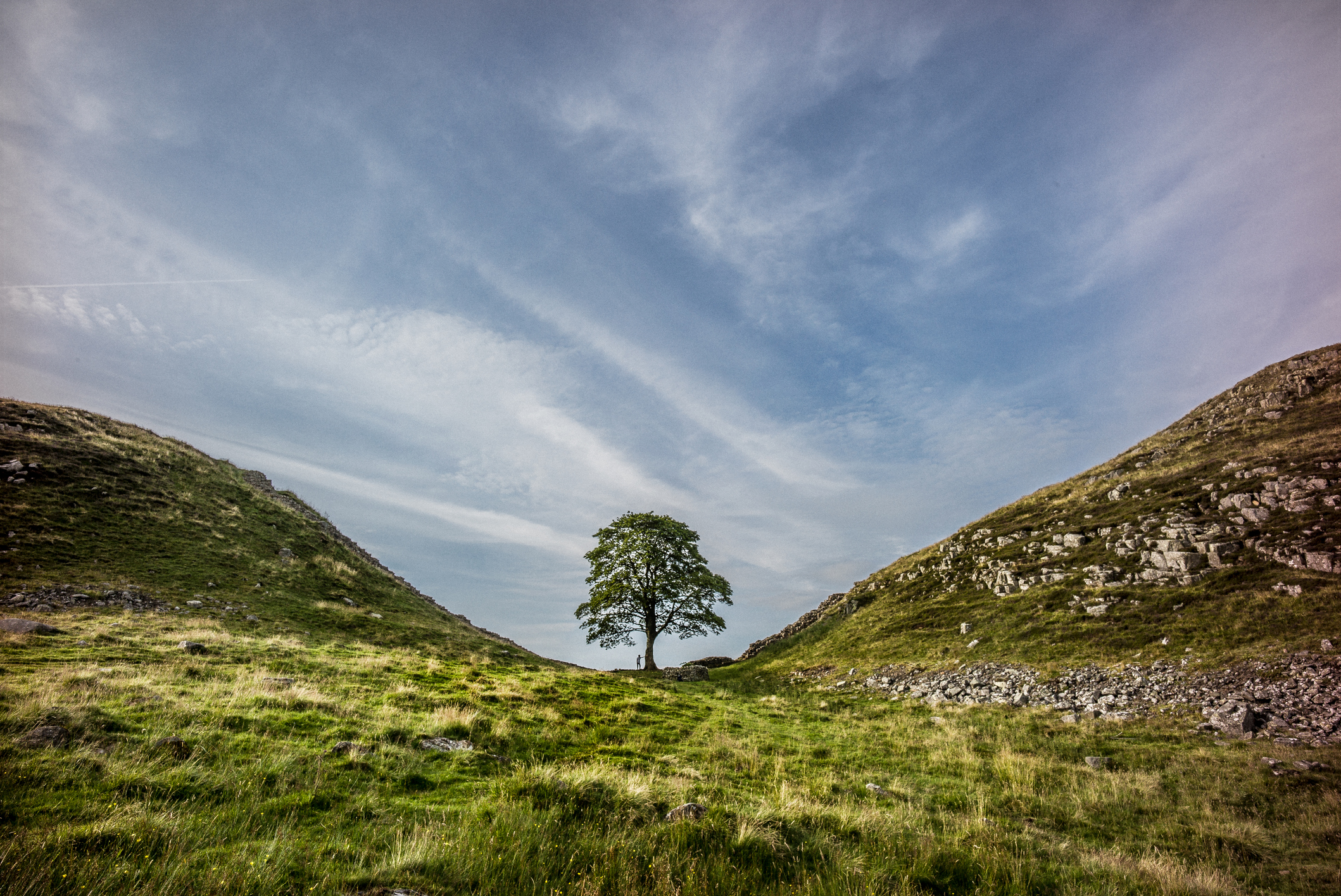 Sycamore Gap, Hadrians Wall.