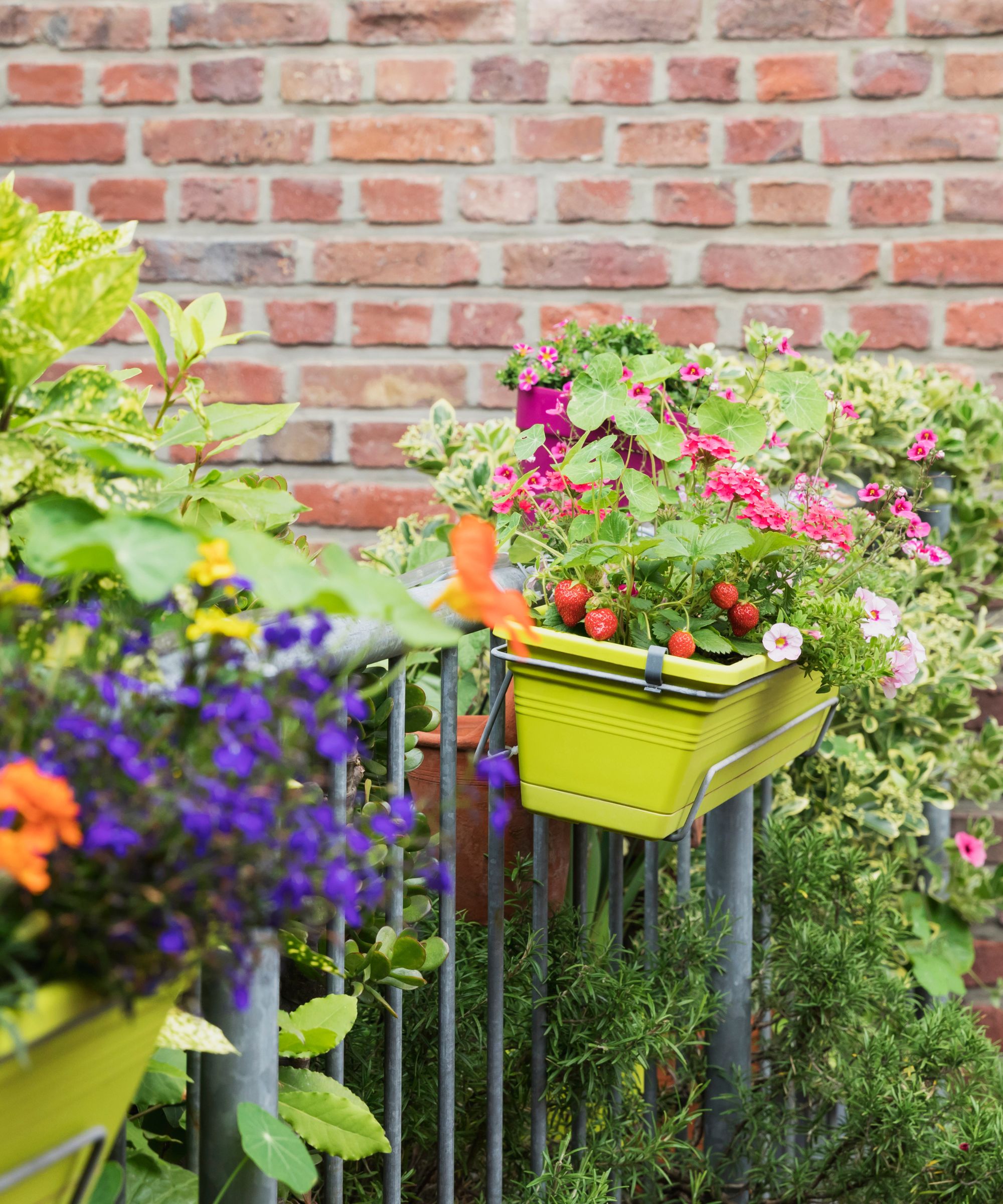 Balcony railings with lime green railing planters