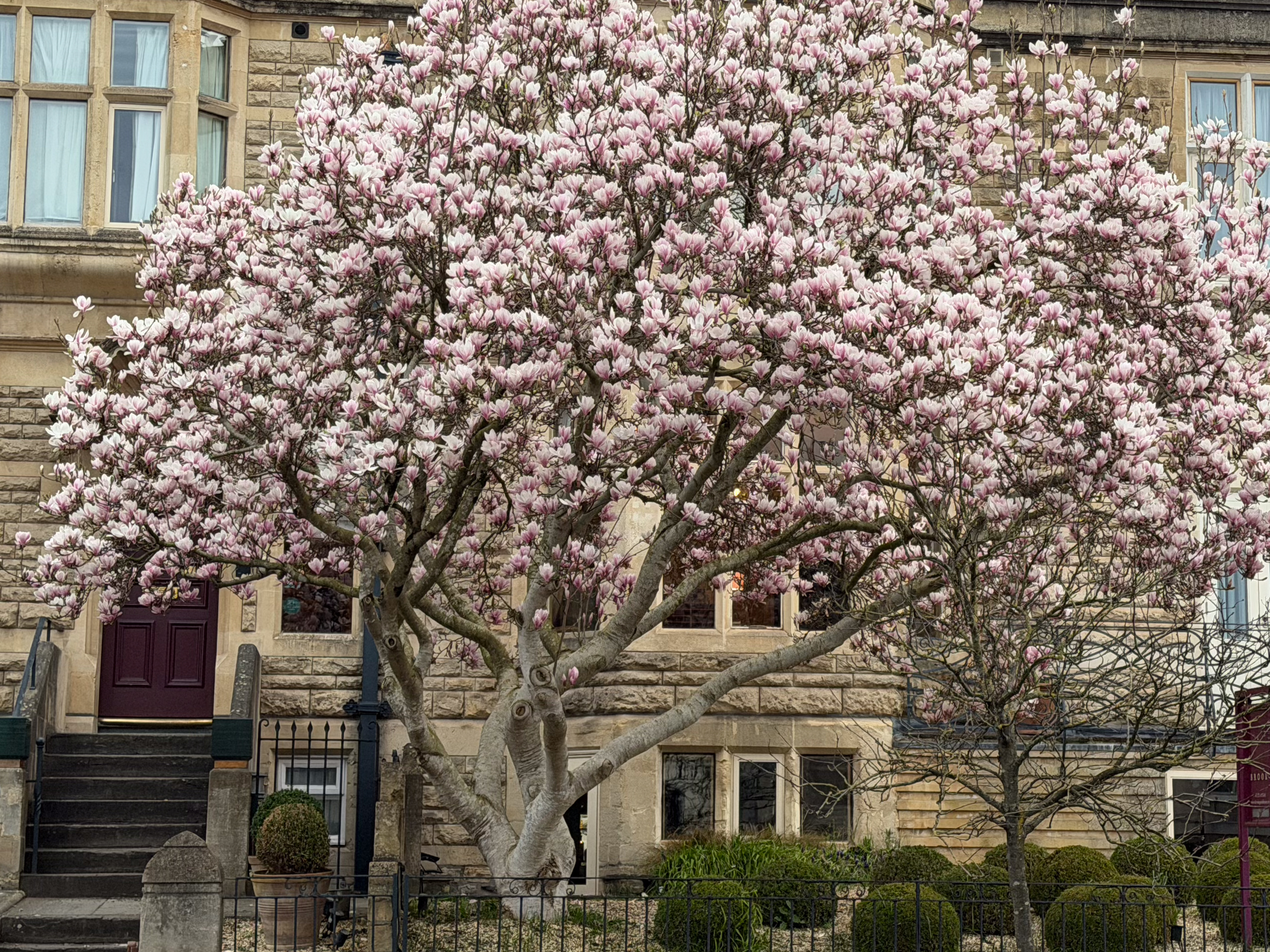 A photo taken for a Leica Leitzphone versus iPhone 17 Pro camera comparison faceoff