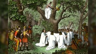 A hand-colored steel engraving of 19th-century illustration of a group of Druids in white robes cutting mistletoe in the forest. They are being watched by several Roman soldiers who are dressed in red robes and yellow/gold-looking armor.