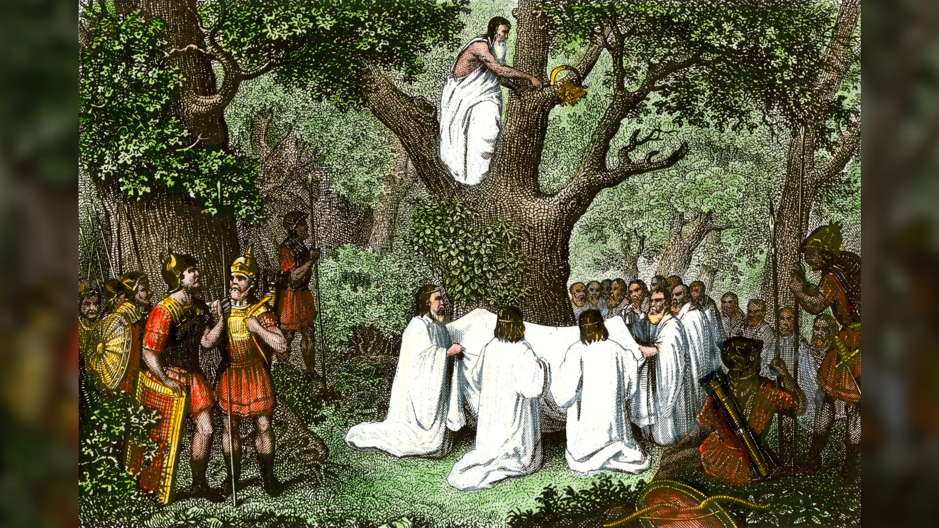 A hand-colored steel engraving of 19th-century illustration of a group of Druids in white robes cutting mistletoe in the forest. They are being watched by several Roman soldiers who are dressed in red robes and yellow/gold-looking armor.