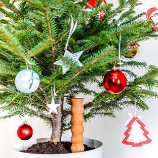 christmas tree on white pot with decorative items