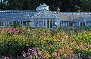 The garden at Scampston Hall. ©Val Corbett/Country Life Picture Library