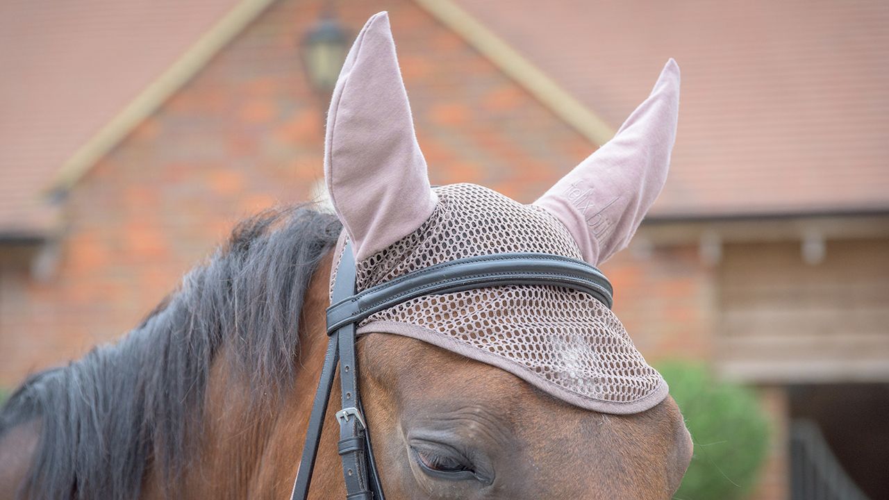 Felix B&uuml;hler Economy Light fly veil review