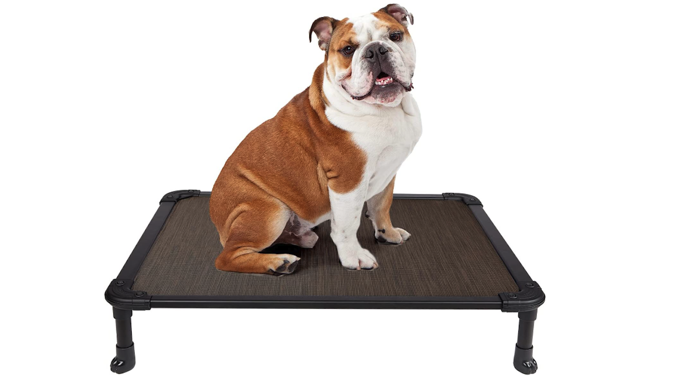 Veehoo elevated dog bed