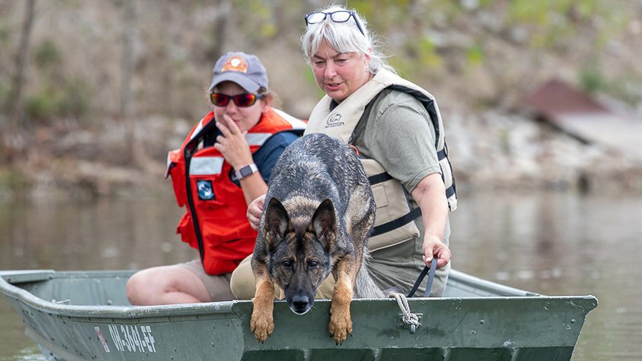 Besa performing a water search from a boat