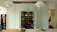 A kitchen pantry from devol 