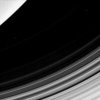Saturn's Dusty D Ring